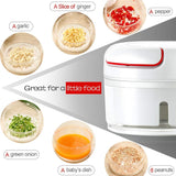 MORGIANA Mini Food Chopper, Manual Vegetable Grinder for Garlic, Onion,Tomato, Carrot Mini Choppers , 170ml